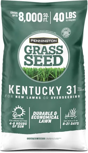 Vista 14 de Pennington Kentucky 31 Semilla de Césped Festuca Alta Penkoted 7 lb