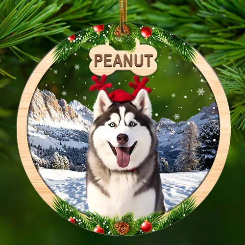 Vista 17 de Adorno personalizado de gato negro para regalo de Navidad de 2.90 x 2.90 pulgadas, acrílico personalizado con nombre de mascota, árbol para colgar