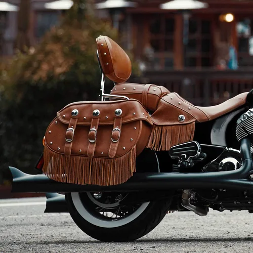 Vista 2 de Indian Motorcycle Almohadilla del respaldo del pasajero - 2879666-06 Bronceado/Beige