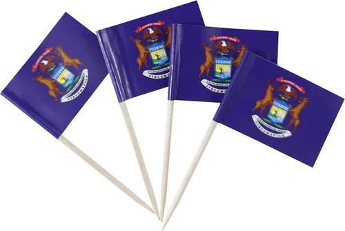 Vista 20 de JBCD Bandera de palillo de dientes de Arkansas Mini Banderas pequeñas para cupcakes de Arkansas, 100 piezas