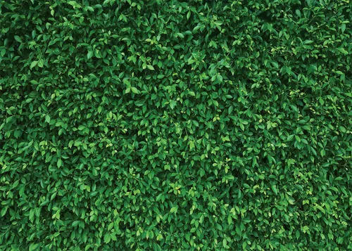 Vista 8 de Fondo de pared de césped de 5 x 5 pies, hojas verdes, césped, fiesta, fotografía, decoración de vegetación para cumpleaños, baby shower, boda