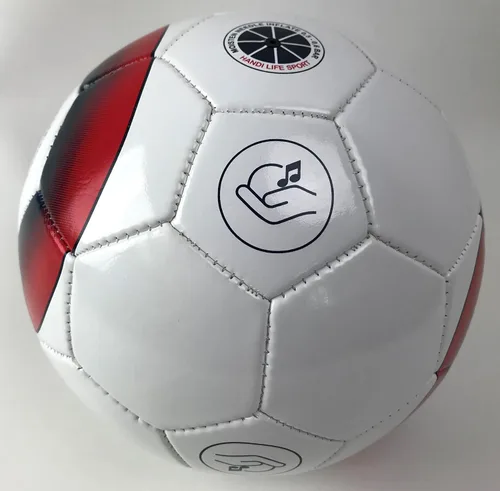 Vista 3 de Handi Life Sport Rattle Ball Bola audible ligera con 3 dispositivos de sonido grandes Terapia y recreación Deportes adaptativos