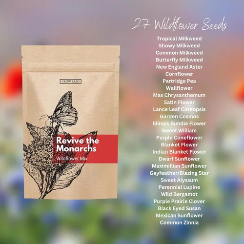 Vista 2 de Más de 6,000 semillas – Protect Monarch Butterflies Wildflower Mix – 27 variedades de flores silvestres – Polinizador – Flores perennes y anuales