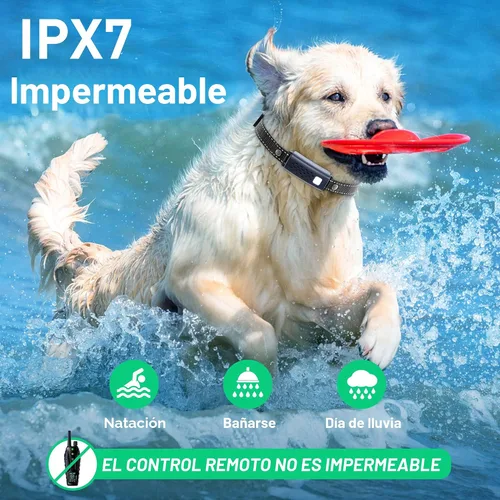 Vista 5 de Collar de entrenamiento para perros – Collar de entrenamiento para perros de 4000 pies con control remoto impermeable, collar electrónico con luz