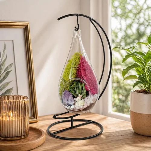 Vista 8 de Creations by Nathalie Kit de terrario casero de 18 cm en forma de lágrima con plantas vivas - Maceta colgante de vidrio con soporte para adultos