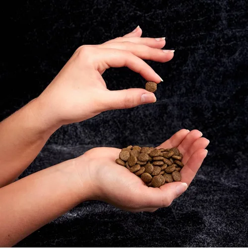 Vista 9 de Alimento seco para gatos CRAVE alto en proteína, sin cereales