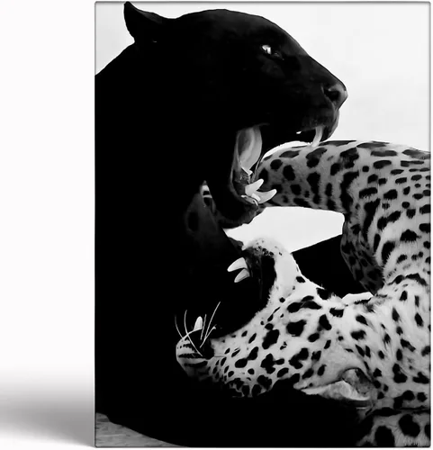 Vista 26 de Impresión de guepardo en el espejo, impresión de fotografía en blanco y negro, leopardo vintage en blanco y negro, fotos de espejo con aspecto