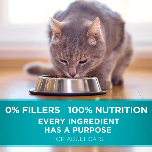 Vista 10 de Purina ONE Alimento seco natural para gatos, mezcla con pollo real, bolsa de 7 libras