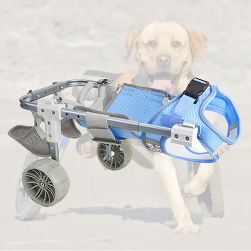 Vista 9 de Silla de ruedas para perros para patas traseras ajustables, 2/4 ruedas para mascotas, patas traseras, carritos para perros con ruedas ligeras, ayuda