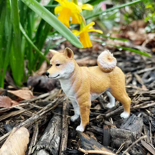 Vista 7 de Safari Ltd. Figura Shiba Inu – Figura realista de perro de plástico de 3 pulgadas – Divertido juguete educativo para niños, niñas y niños a partir