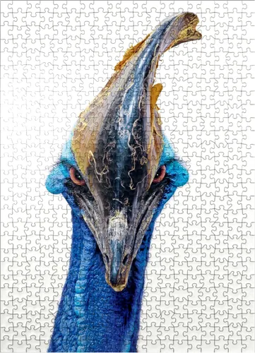 Vista 7 de MyPuzzle Cassowary - Rompecabezas prémium de 100 piezas, fabricado en Estados Unidos