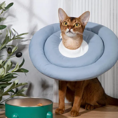 Vista 2 de Gagabody Cono de Perro Suave Alternativo para Perros Pequeños, Gatos y Perros Medianos - Collar Isabelino Ajustable y Cómodo para Recuperación Azul