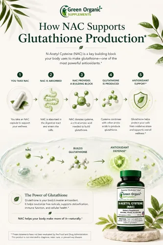 Vista 6 de Suplementos orgánicos verdes N-acetil cisteína (NAC) 700 mg Apoya la producción de glutatión, actividad antioxidante y salud celular 90 cápsulas