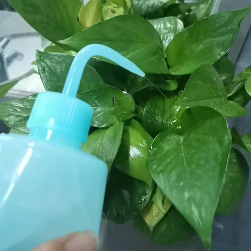 Vista 3 de Valchoose - Botella exprimible de 8.5 fl oz, botella de lavado premium LDPE, azul, 1 paquete Medical Lab Wash Container, No Leaking, Angled Spout
