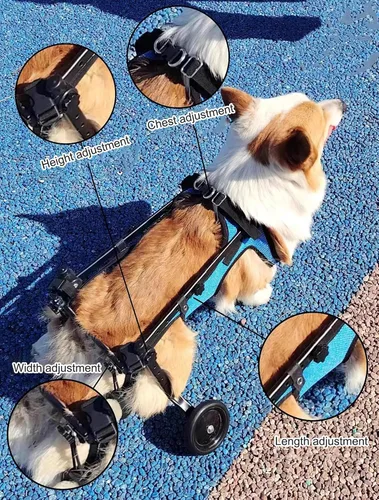 Vista 3 de Herramienta ligera para caminar para perros, silla de ruedas ajustable para perros, soporte para piernas y soporte de cadera para perros pequeños