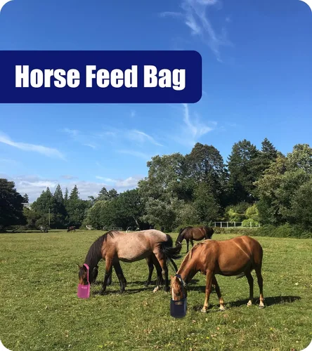 Vista 2 de Bolsa de alimentación para caballos para grano, alimentador de caballos de malla resistente con correa ajustable, almohadilla cómoda para el cuello