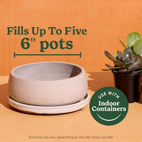 Vista 5 de Miracle-Gro Mezcla para macetas de interior para cactus y suculentas, mezcla para macetas de cactus y suculentas de drenaje rápido con alimentos