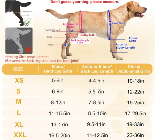 Vista 4 de Rodillera para perros con ACL desgarrado, soportes ajustables para patas de perro, soporte de soporte para patas traseras o delanteras, soporte