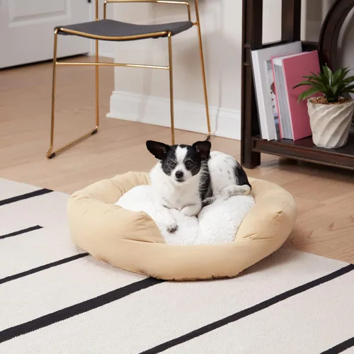 Vista 2 de Maddie Donut - Cama para perro con almohada central extraíble, color crema, pequeña (24 x 24 pulgadas)