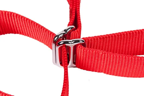 Vista 19 de GoGo Pet Products GoGo - Collar de perro Martingala de 3/4 pulgadas, mediano, color rosa Rosado
