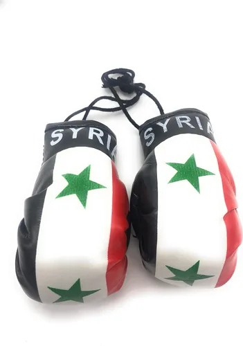 Vista 8 de Mini guantes de boxeo para colgar en el espejo del coche (Camerún)