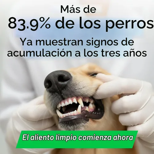 Vista 2 de BARK&SPARK Masticables ambientadores de aliento de dientes de perro Probióticos para ayudar al aliento