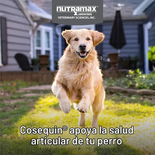 Vista 3 de Nutramax Cosequin Suplemento para articulaciones de perro, MSM + Boswellia
