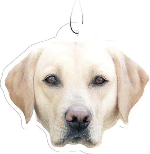 Vista 36 de Spoontiques Beagle Ambientador (3 unidades) – Accesorios y elementos esenciales para el interior del automóvil con temática de perro, desodorante