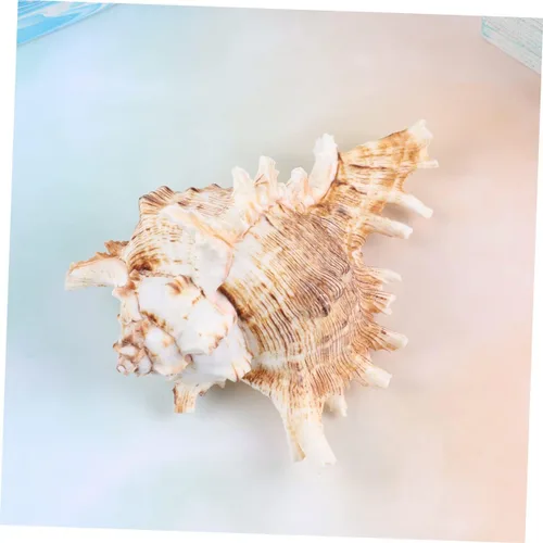 Vista 6 de FOMIYES Conch Ornament for Aquarium Natural Landscape Accessory 10-11cm Fish Tank Decoration Shell Ornament