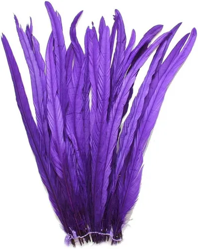 Vista 4 de Nature Rooster Coque Tails Feathers - Decoración de manualidades para disfraz de 12-14 pulgadas, paquete de 25 (color negro)