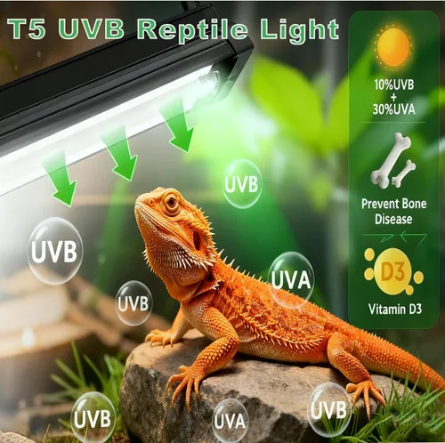 Vista 3 de Kit de iluminación T5 HO UVB, campana de terrario de 8 W con reflector curvado desmontable, lámpara Desert 10.0 UVB T5 (8 vatios)