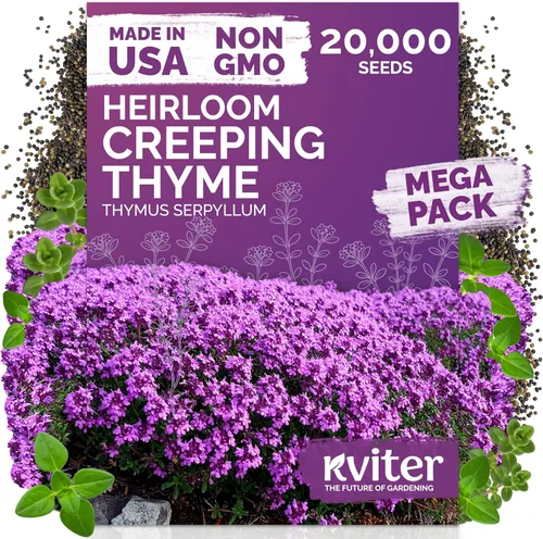 Vista 20 de KVITER 15,000 semillas de rosa musgo mixta para plantar (Portulaca grandiflora) – Cubierta de suelo con floración de reliquia, semilla de Portulaca