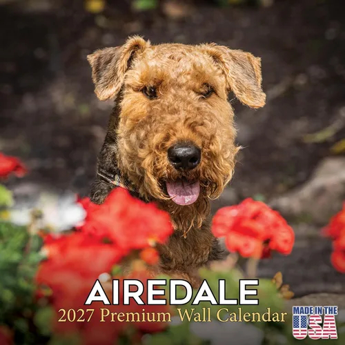 Vista 112 de Calendario de Lebrel Afgano 2025 2026, calendario mensual de pared de raza canina, 12" x 18" abierto, papel grueso sin traspaso, ideal para regalo