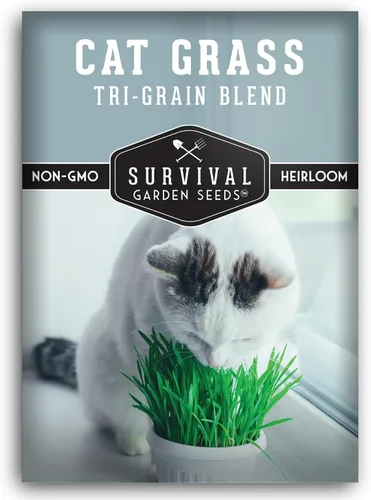 Vista 10 de Semillas de hierba para gatos para plantar, 3 paquetes con instrucciones para plantar y cultivar verduras para tu mascota en interiores o exteriores