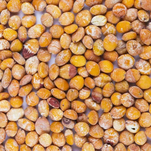 Vista 3 de Hierbas secas de nueces de ginko puras naturales orgánicas a granel, 10.58 onzas (10.58 oz)