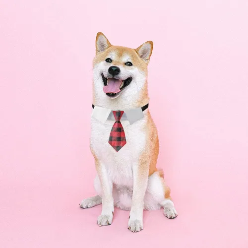 Vista 5 de Collar ajustable para perros pequeños, medianos y grandes, corbata de cumpleaños para perros (mediano, cuadros rojos/negros)