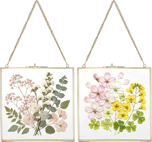 Vista 11 de JUXYES Paquete de 2 marcos cuadrados de latón para colgar en la pared para flores prensadas, marco de exhibición de ilustraciones de doble vidrio