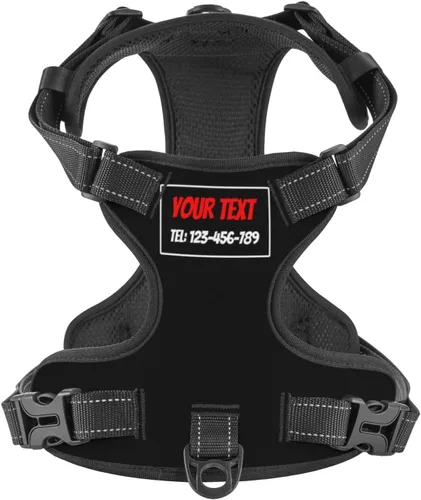 Vista 24 de Arnés personalizado para perro sin tirones, chaleco personalizado de hueso de perro con nombre de mascota, arnés reflectante ajustable personalizado