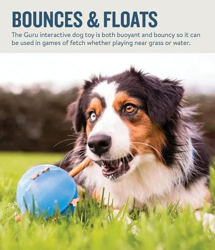 Vista 6 de Planet Dog Orbee-Tuff Mazee y Guru - Pelota rompecabezas interactiva para perros dispensadora de premios