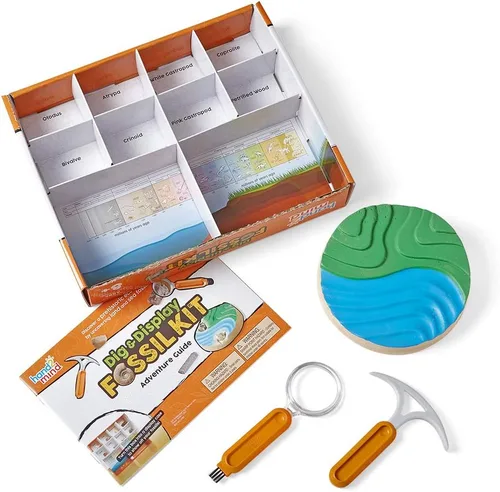 Vista 6 de hand2mind - Kit de excavación de fósiles para excavar y exhibir, vitrina de fósiles, 8 fósiles reales para descubrir, kits de excavación para niños