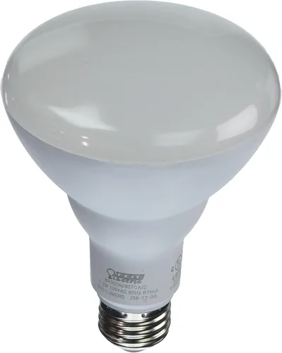 Vista 6 de Feit PAR38/G/LEDG5 - Reflector LED verde PAR38