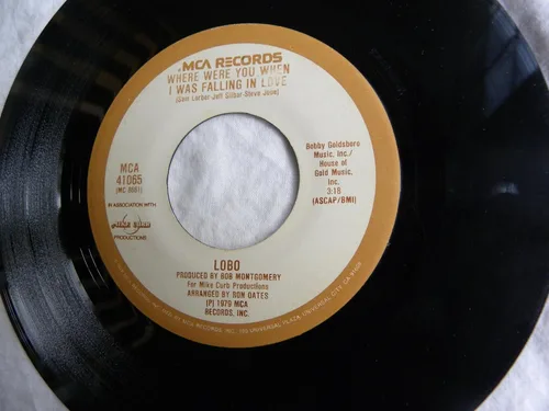 Vista 2 de I Don't Wanna Make Love Anymore/Where Were You When I Was Falling In Love 45/7" by Lobo