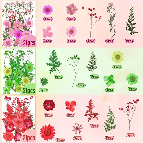 Vista 3 de Nuanchu Juego de 223 flores secas prensadas reales para manualidades, hojas secas naturales y calcomanías de mariposa, flores de margaritas