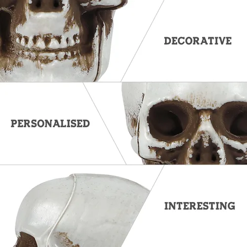Vista 3 de NUOBESTY 18 piezas de mini cráneo modelo de calavera de plástico, decoraciones de esqueleto, decoración de hueso, accesorios de broma, cabezas