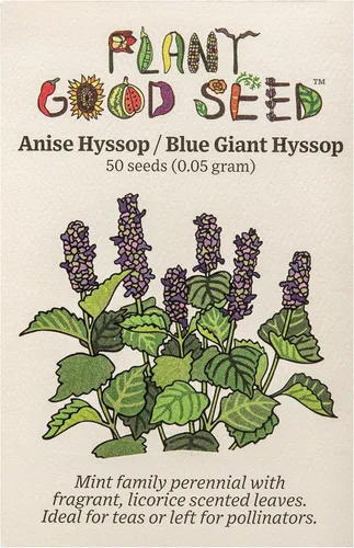 Vista 7 de Plant Good Seed Semillas de menta de regaliz coreano para plantar: hierba perenne, flores moradas - Paquete de 50 semillas Sweet Licorice-Scented