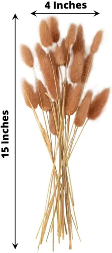 Vista 3 de Efavormart - Paquete de 50 ramos de flores de hierba de pampa seca con cola de conejo marrón de 15 pulgadas, arreglos de tallo bohemio