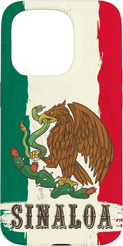 Vista 14 de Sinaloa Mexico Flag Sinaloa Case for iPhone 17