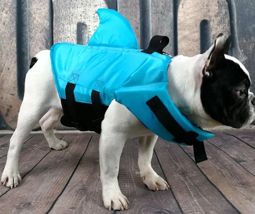 Vista 3 de Snik-S Chaleco salvavidas para perros - Preserver con cinturón ajustable, chaqueta de tiburón para nadar para mascotas para perros de nariz corta