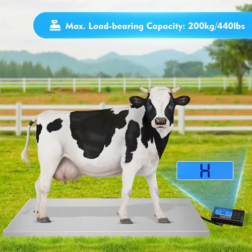 Vista 4 de Báscula digital para animales domésticos, báscula de suelo industrial, báscula de envío, báscula de cerdo, báscula de peso para perro, plataforma