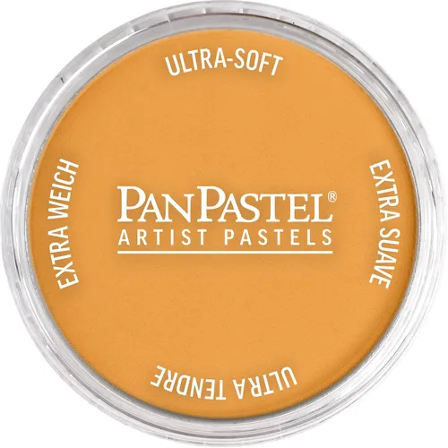 Vista 19 de PanPastel Pastel ultra suave para artista, sombra de Siena quemada